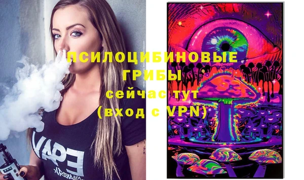 a pvp Абаза