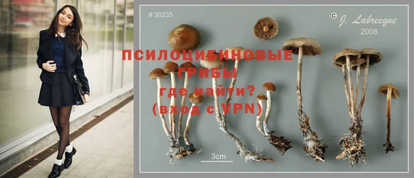 стаф Абинск