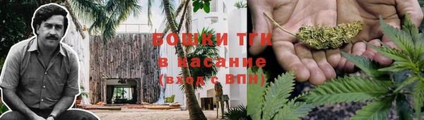 стаф Абинск