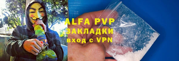 стаф Абинск