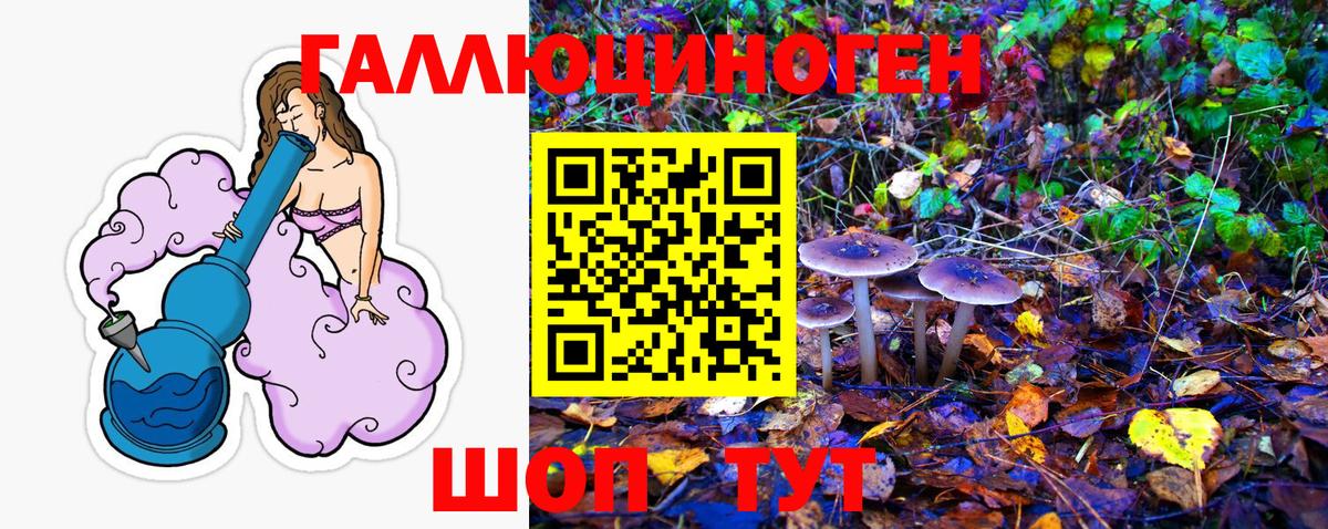 Псилоцибиновые грибы мицелий Ярославль