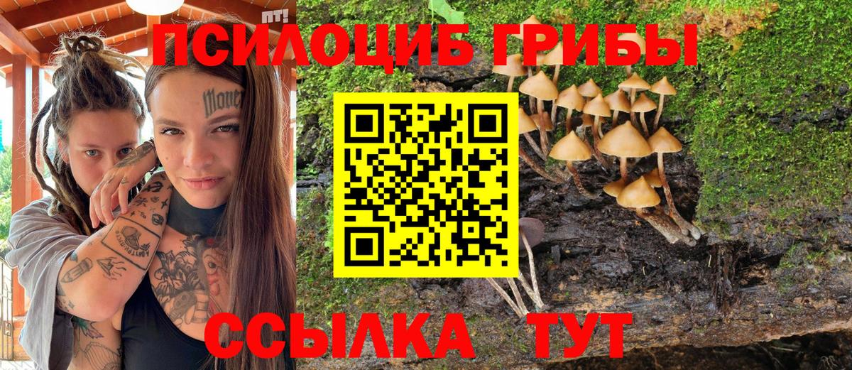 Галлюциногенные грибы MAGIC MUSHROOMS  Вход с VPN  Ярославль 